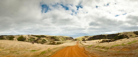Penneshaw Oceanview Apartments - Kempsey Accommodation 20