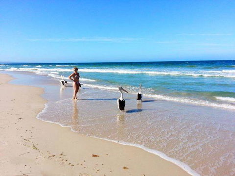 Atlantic West Beach Apartments - Kempsey Accommodation 22
