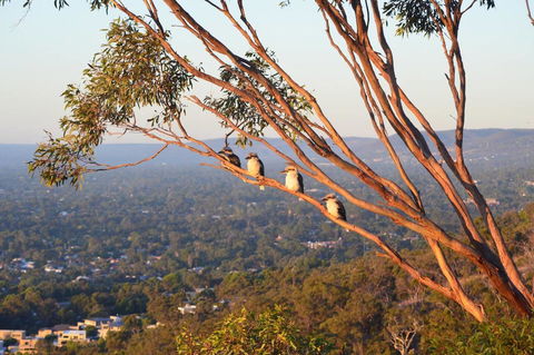 Kingsview Belair, Apartment Grand Views Of Adelaide - Kempsey Accommodation 1