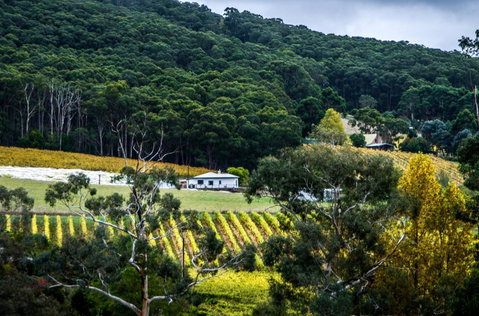 Esto House - Kempsey Accommodation 4
