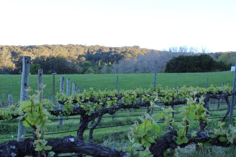 Esto House - Kempsey Accommodation 23