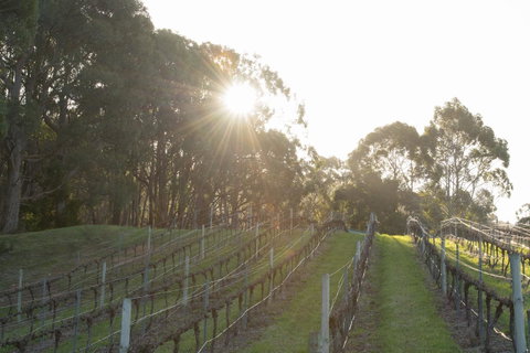 Esto House - Kempsey Accommodation 2