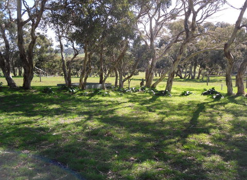 Wenton Farm Holiday Cottages - Kempsey Accommodation 1