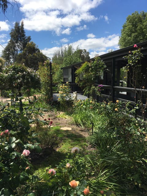 Hilltop Too - Kempsey Accommodation 4