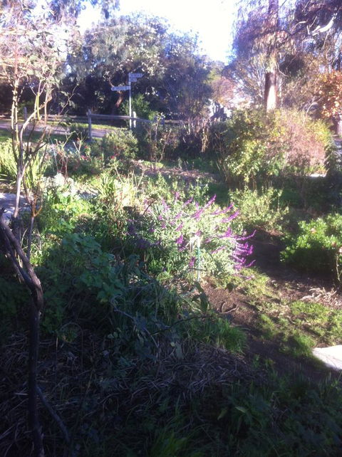 Hilltop Too - Kempsey Accommodation 12