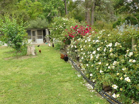 Camawald Coonawarra Cottage B&B - Kempsey Accommodation 3