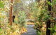 Aldgate Valley Bed And Breakfast - thumb 43