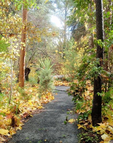 Aldgate Valley Bed And Breakfast - Kempsey Accommodation 43