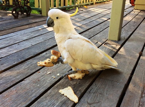 Aldgate Valley Bed And Breakfast - Kempsey Accommodation 40