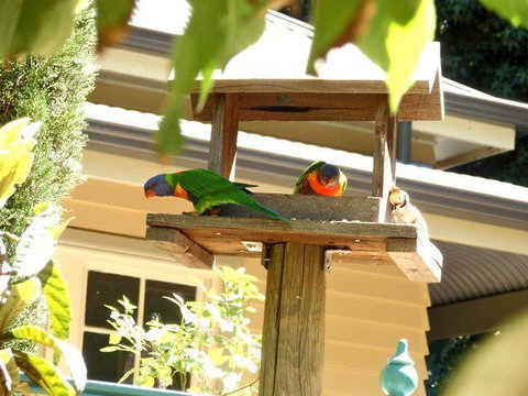 Aldgate Valley Bed And Breakfast - Kempsey Accommodation 42