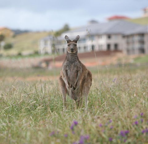 Lady Bay Hotel - Kempsey Accommodation 18