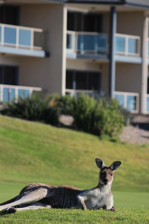 Lady Bay Hotel - Kempsey Accommodation 16
