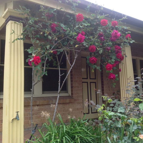 Oats Cottage - Kempsey Accommodation 3