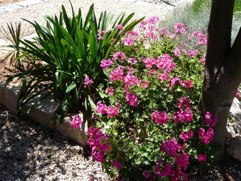 Country Bakehouse Accommodation - Kempsey Accommodation 18