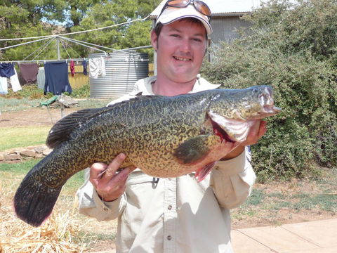 Country Bakehouse Accommodation - Kempsey Accommodation 20