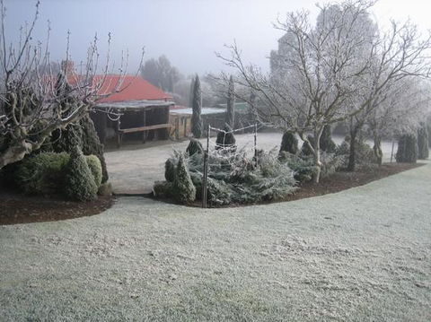 Vineyard Cottage BnB - Kempsey Accommodation 15