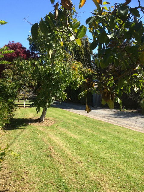 Vineyard Cottage BnB - Kempsey Accommodation 17