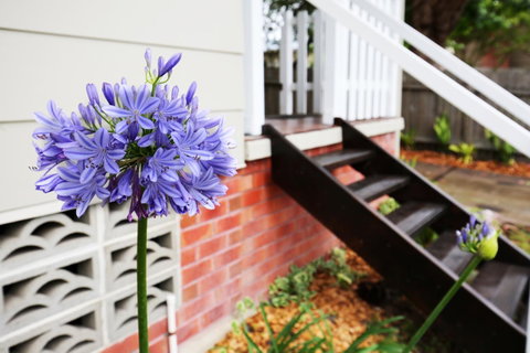 Hudson Bay @ Basin View-Pet Friendly-15 Mins To Hyams Beach - Kempsey Accommodation 38