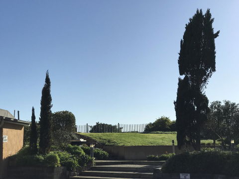 Caledonian Inn - Kempsey Accommodation 24