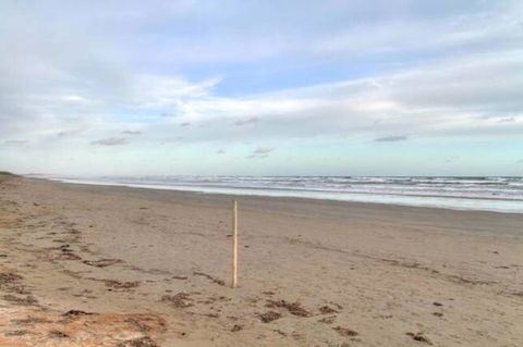 SeaWatch-Sea Views - Kempsey Accommodation 6