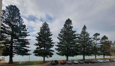 Pier Hotel Port Lincoln - Kempsey Accommodation 12