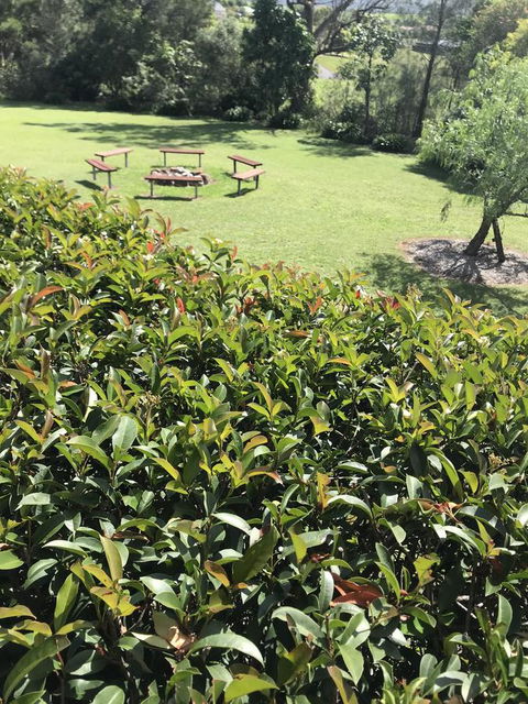 Avon View Stays Accommodation. - Kempsey Accommodation 10