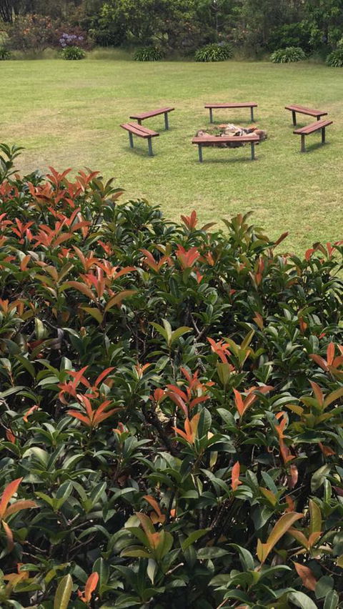 Avon View Stays Accommodation. - Kempsey Accommodation 16