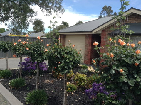 C And C Tanunda - Kempsey Accommodation 1