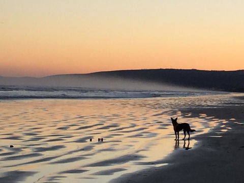 Goolwa Marinerâ€™s Cottage - Free Wifi And Pet Friendly - Centrally Located In Historic Region - Kempsey Accommodation 35