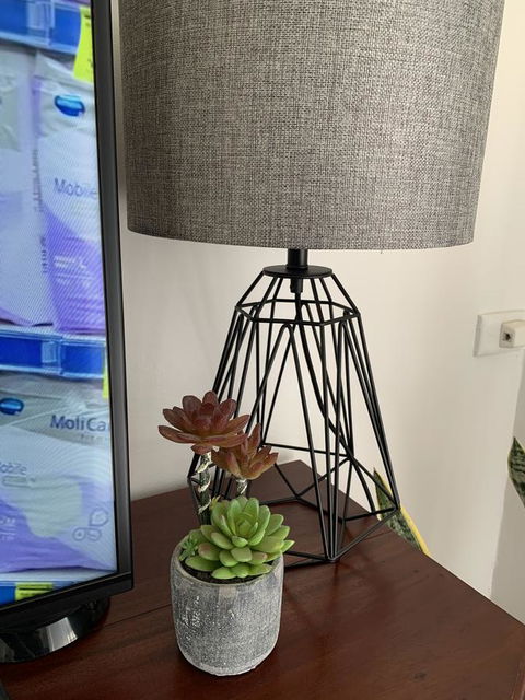 Sunshine Four - Kempsey Accommodation 5