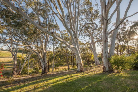 Discovery Parks - Hahndorf - Kempsey Accommodation 4