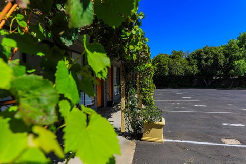 Country Roads Motor Inn Naracoorte - Kempsey Accommodation 16