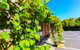Country Roads Motor Inn Naracoorte - thumb 18