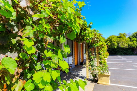 Country Roads Motor Inn Naracoorte - Kempsey Accommodation 18