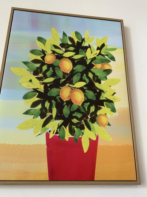 Sunshine Three - Kempsey Accommodation 2