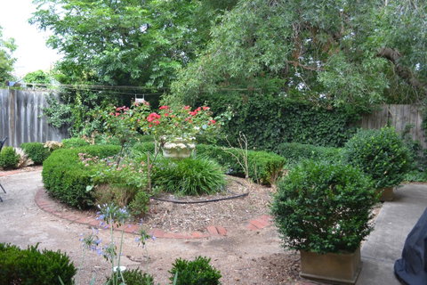 A Secret Treasure - Kempsey Accommodation 17