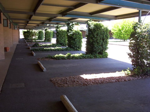 The Wine Vine Hotel - Kempsey Accommodation 17