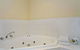 Comfort Inn Victor Harbor - thumb 6