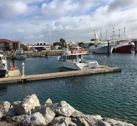 Port Lincoln Shark Apartment 3 - Kempsey Accommodation 1