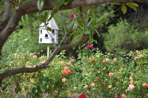 The Lyndoch Motel - Kempsey Accommodation 2