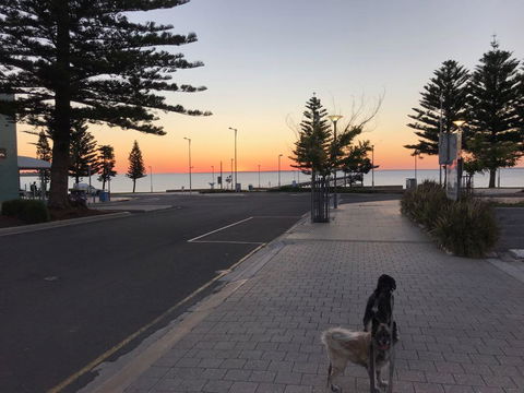 BIG4 Ceduna Tourist Park - Kempsey Accommodation 34