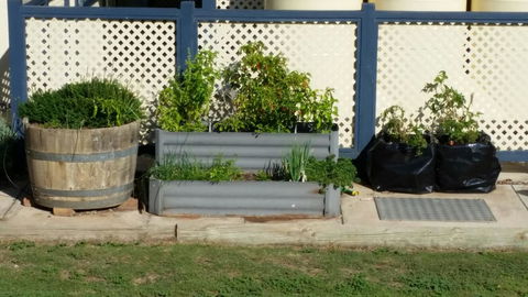 BIG4 Ceduna Tourist Park - Kempsey Accommodation 30