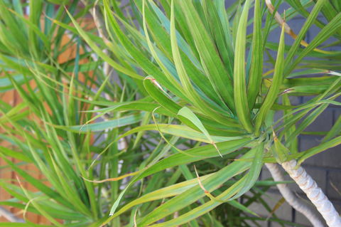 My Port Lincoln Place - Kempsey Accommodation 20