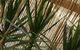 My Port Lincoln Place - thumb 22
