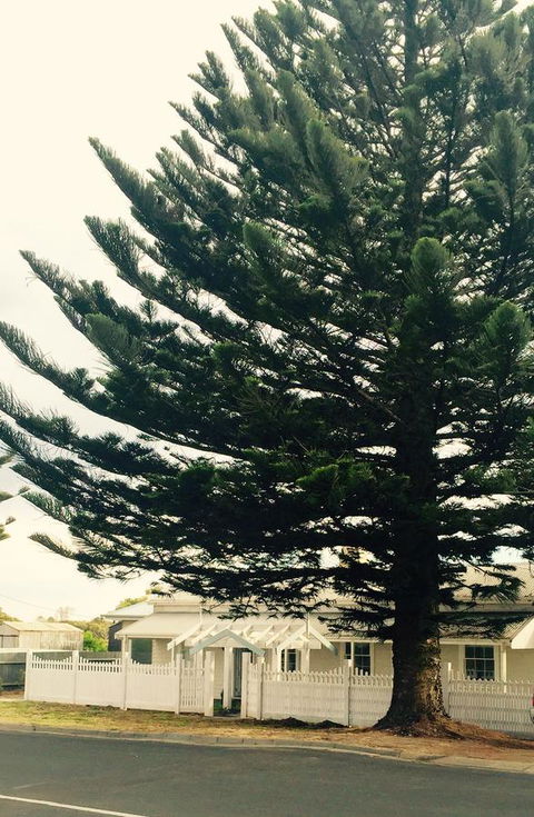 Railway Cottage In Beachport - Kempsey Accommodation 13