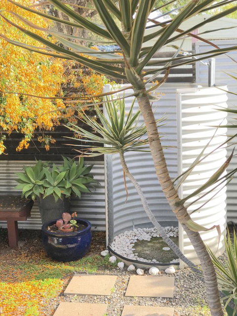 Milly\'s Middleton - Pet-friendly - Kempsey Accommodation 23