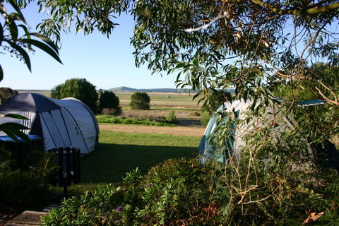 Millicent Hillview Caravan Park - Kempsey Accommodation 43