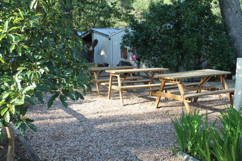 Millicent Hillview Caravan Park - Kempsey Accommodation 9