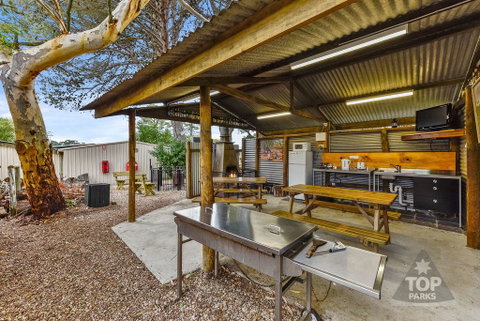 Millicent Hillview Caravan Park - Kempsey Accommodation 20