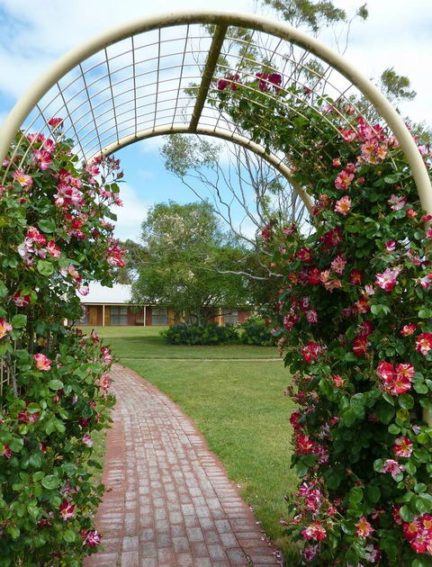 Coonawarra Place Motor Inn - Kempsey Accommodation 20